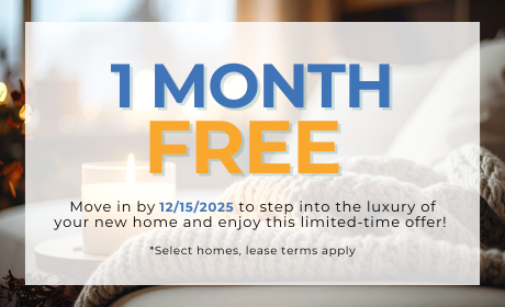 image for /shared/images/guild-falls-popup-co512zpg.png