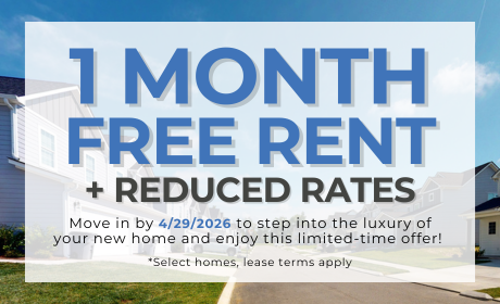 image for /shared/images/guild-falls-popup-knyk0dos.png