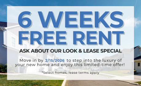 image for /shared/images/guild-falls-popup-o3c5hewl.png